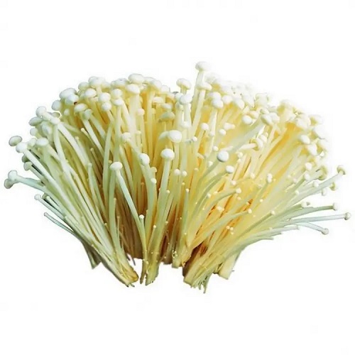 金针菇